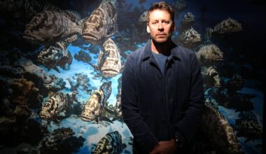 Biennale de arts et de l’Océan: les clichés d’une poésie abyssale de Laurent Ballesta dévoilés au musée de la photographie Charles Nègre à Nice