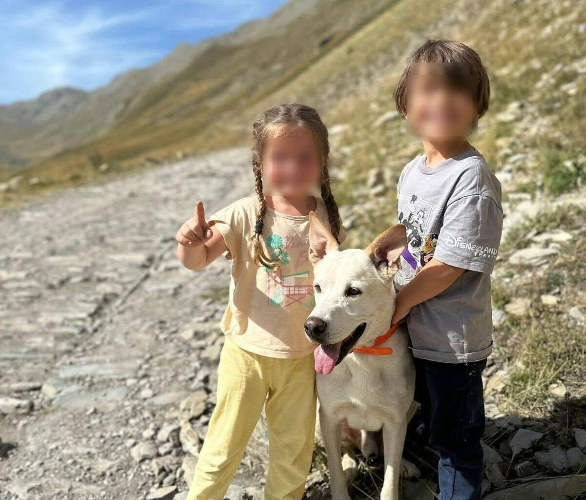 "Il a été abattu près des habitations!": une mère de famille révoltée après la mort brutale de son chien dans la Vésubie