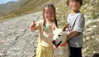 "Il a été abattu près des habitations!": une mère de famille révoltée après la mort brutale de son chien dans la Vésubie