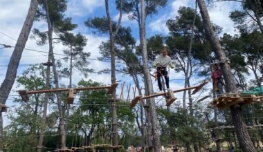 "L’appel aux bonnes volontés a super bien fonctionné": à Carqueiranne, le parc accrobranche s’est relevé de la tempête de fin d’année