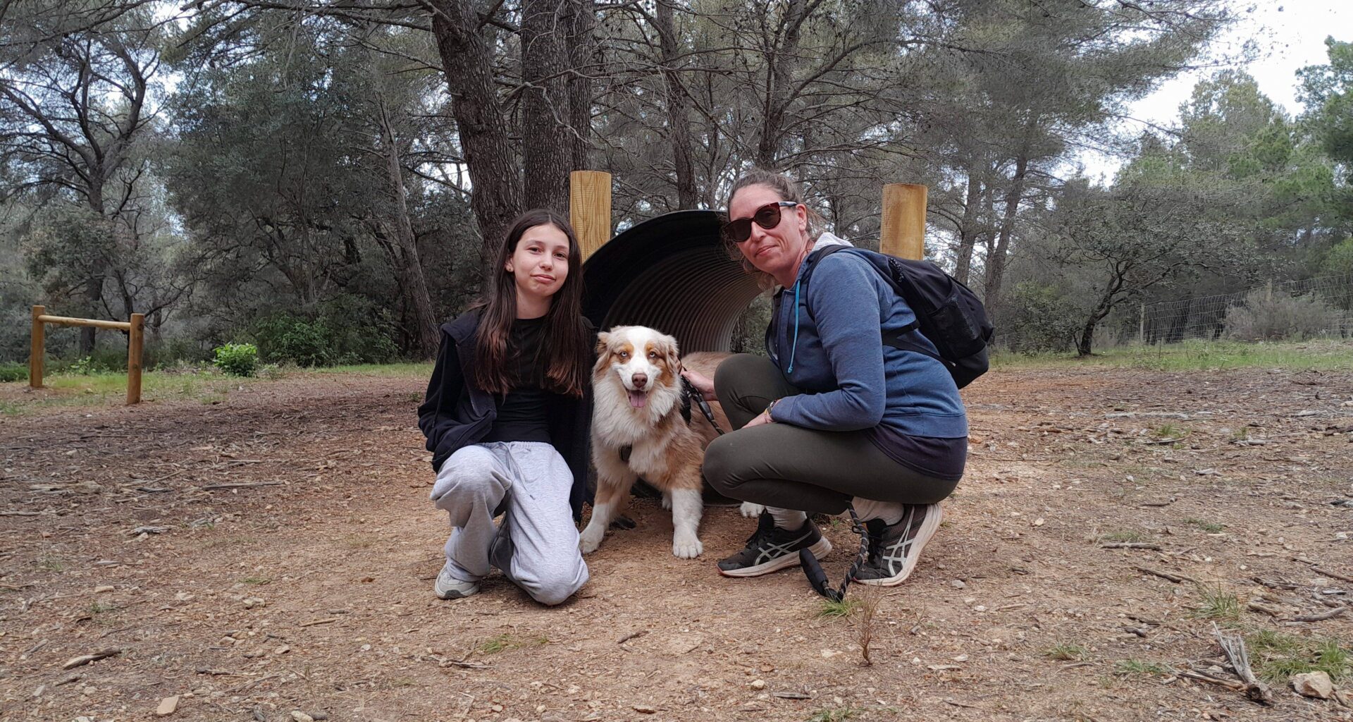 "On reviendra, car c'est bien ombragé pour l'été": un parc réservé aux chiens du côté de Sanary