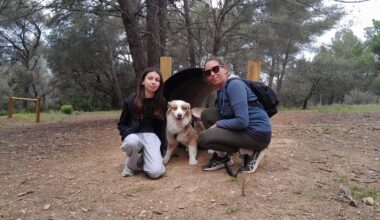 "On reviendra, car c'est bien ombragé pour l'été": un parc réservé aux chiens du côté de Sanary