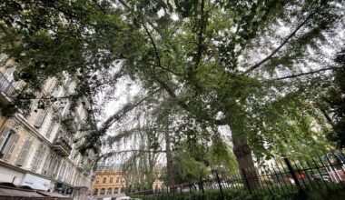 Parking souterrain, place Wilson à Nice: quatre questions pour tout comprendre de ce projet avec Gaël Nofri adjoint au maire à la Circulation.