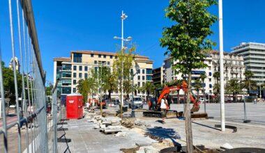 "Le but, c’était de mettre des feuillus pour avoir de la verdure et de l’ombre": à Toulon, six nouveaux arbres sur la place de la Liberté