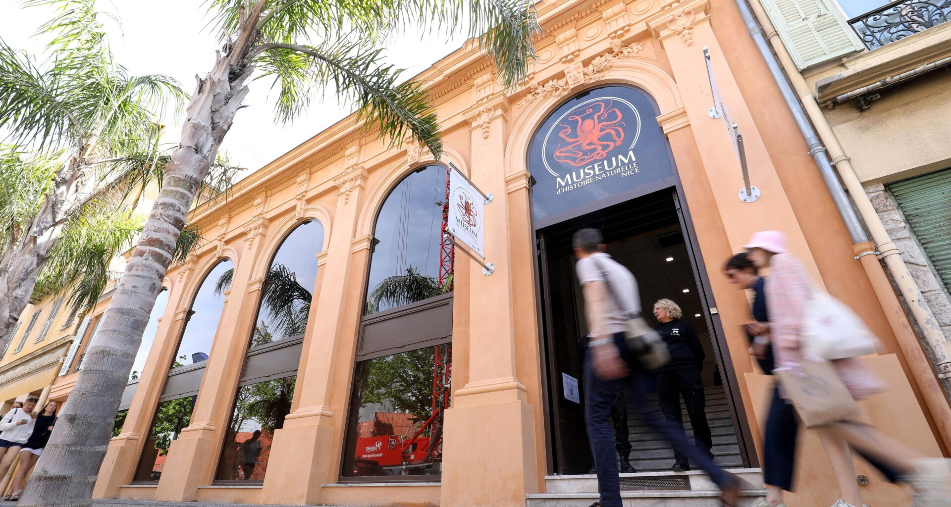"Une belle endormie que nous avons réveillée": les travaux de réaménagement se poursuivent au Muséum d’histoire naturelle à Nice qui rouvrira à la fin de l’année 2025