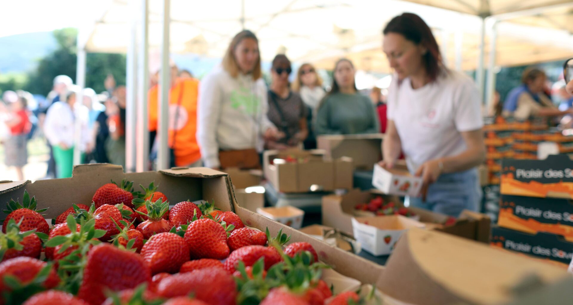 "C’est notre virée familiale", la fête des fraises se poursuit jusqu'à dimanche à Carros (et ce serait dommage de rater ça)