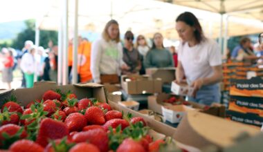 "C’est notre virée familiale", la fête des fraises se poursuit jusqu'à dimanche à Carros (et ce serait dommage de rater ça)