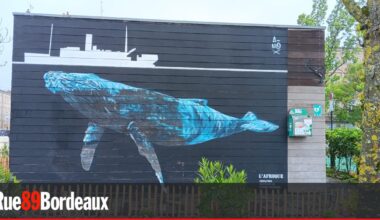 La fresque commémorant le naufrage du paquebot "L'Afrique" dégradée à Bordeaux
