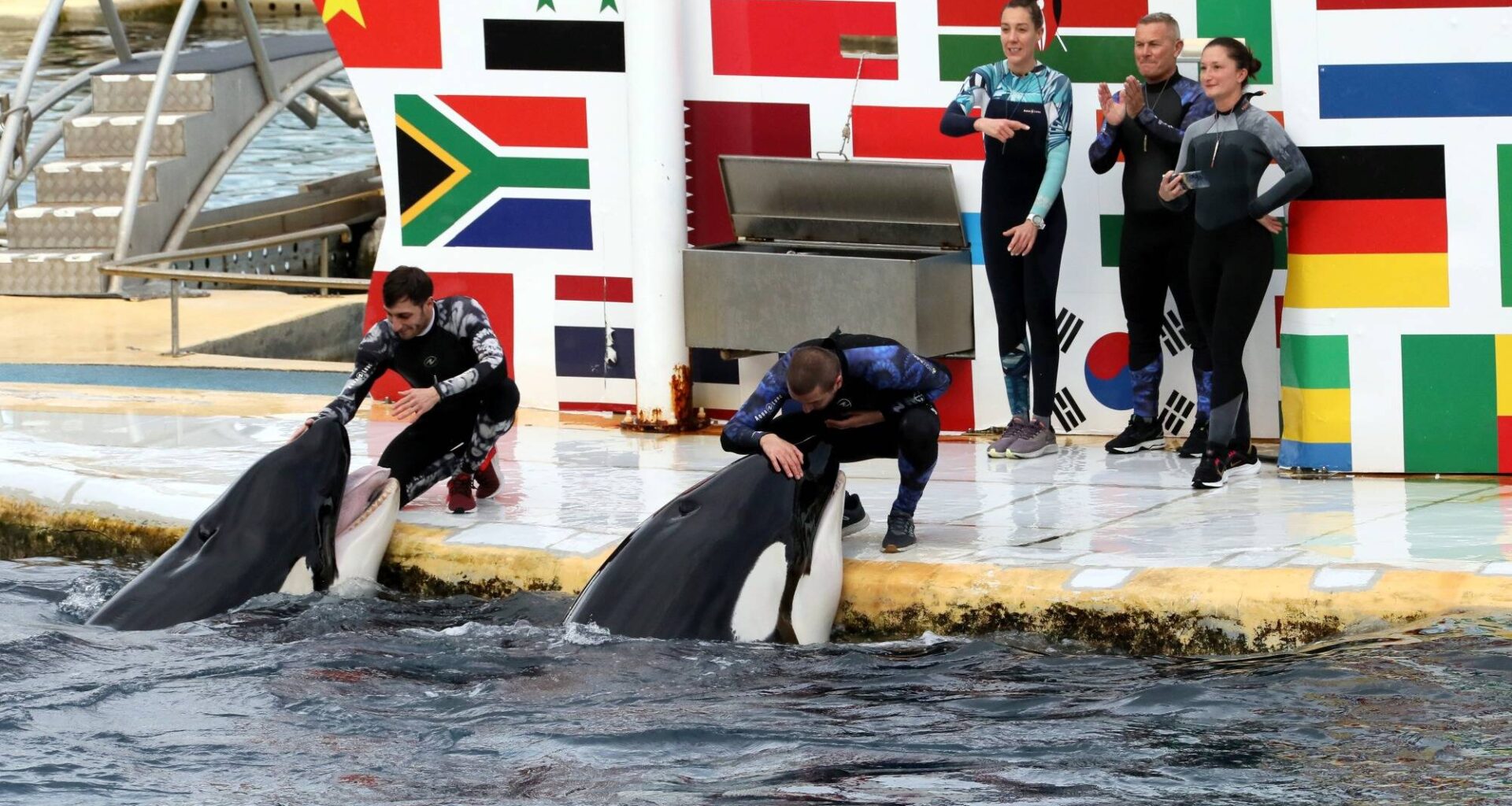 Un rapport d'enquête dévoile les causes de la mort de plusieurs orques de Marineland, "des platitudes" dénonce One Voice
