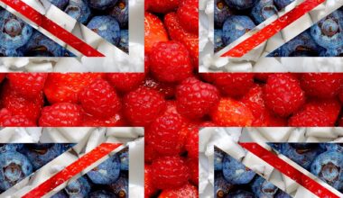 L'étude montre que les vulnérabilités exposées au Brexit dans le système alimentaire du Royaume-Uni