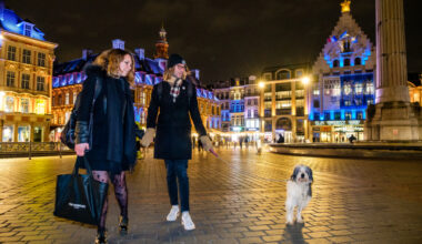 Palmarès de villes 2025 : indétrônable Lille