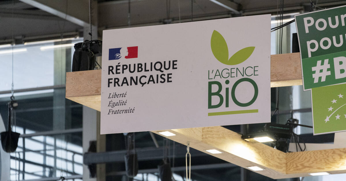 Un profil «caucasien», du cassoulet à la place du couscous… Le ministère de l’Agriculture ne veut pas trop de diversité pour promouvoir le bio – Libération