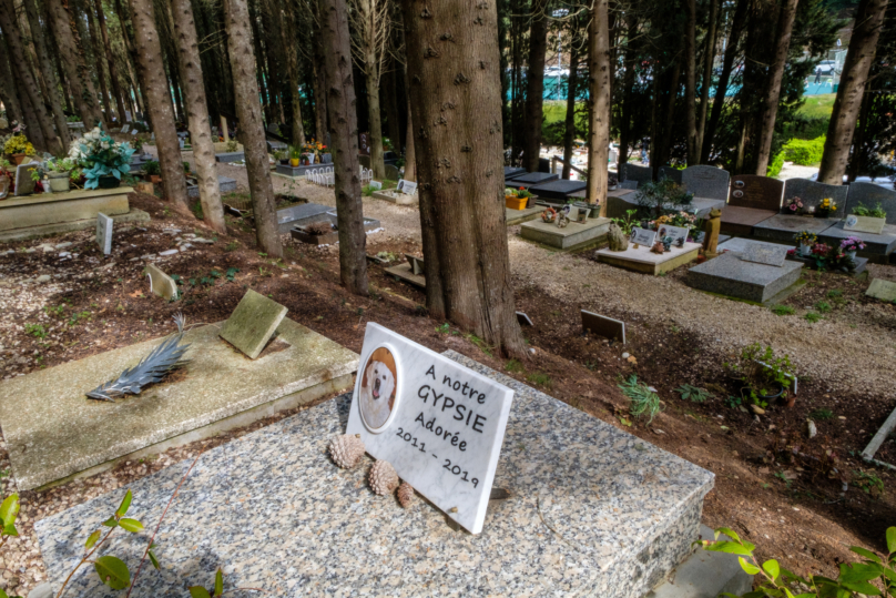 En 2024, Caen, Le Havre, Lille, Marseille et Nice disposent d'un cimetière animalier. Dijon, Le Mans et Strasbourg en seraient dotées cette année quand Lyon et Reims plancheraient sur le projet.