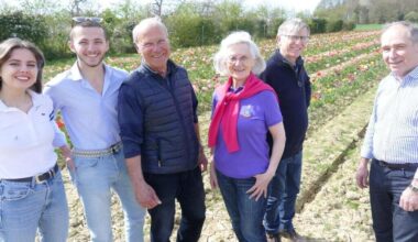 Cesson-Sévigné. Une vente de tulipes pour la Ligue contre le cancer
