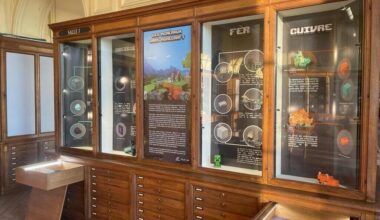 « Les minéraux dans Minecraft » : à Paris, une exposition plonge dans l’univers du