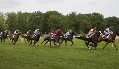 Un mercredi au galop au Petit-Port . Sport