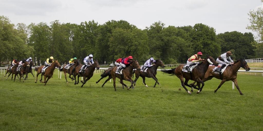 Un mercredi au galop au Petit-Port . Sport