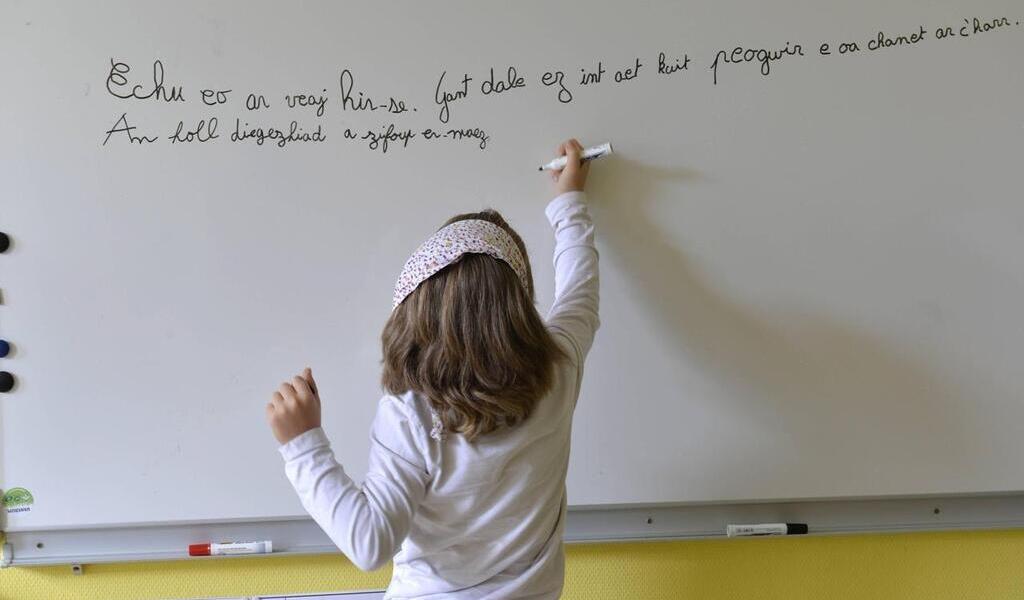 Français – breton : une filière à l’école Alice-Guy en septembre 2025
