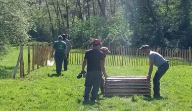 Betton. Un espace canin est en cours d’installation
