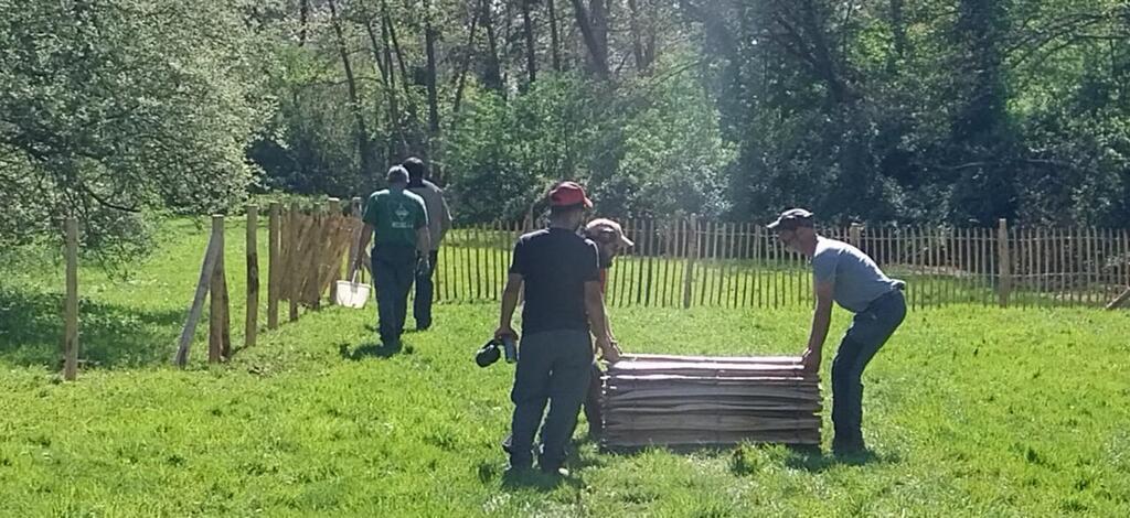 Betton. Un espace canin est en cours d’installation
