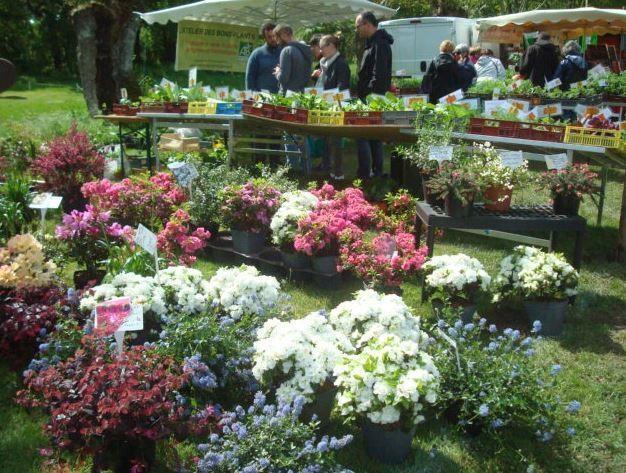 Chloroph’îles, un paradis sur l’île Forget au sud de Nantes