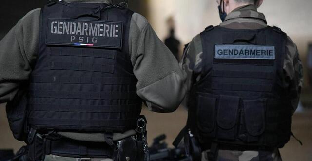 photo  le peloton de surveillance et d’intervention a permis de désarmer le mari.  ©  photo illustration journaux de loire 