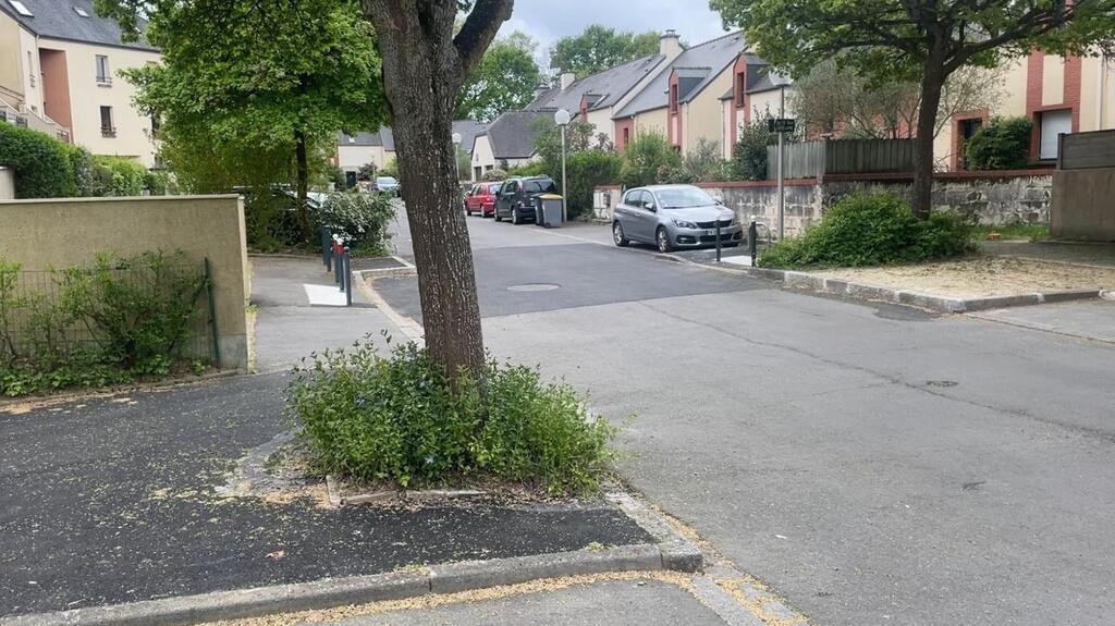TÉMOIGNAGE. Trois riverains passés à tabac par quinze jeunes pour être intervenus sur un
