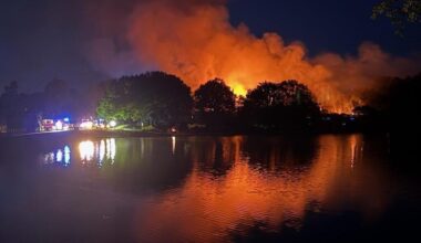 Feu de forêt en Ille-et-Vilaine : 50 hectares ont brûlé, 70 pompiers toujours sur place