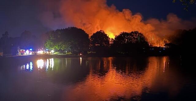 photo  au total, 50 hectares de forêt ont brûlé entre le départ du feu, mercredi 16 avril, et ce jeudi matin, en forêt de saint-aubin-du-cormier (ille-et-vilaine).  ©  sdis 35 