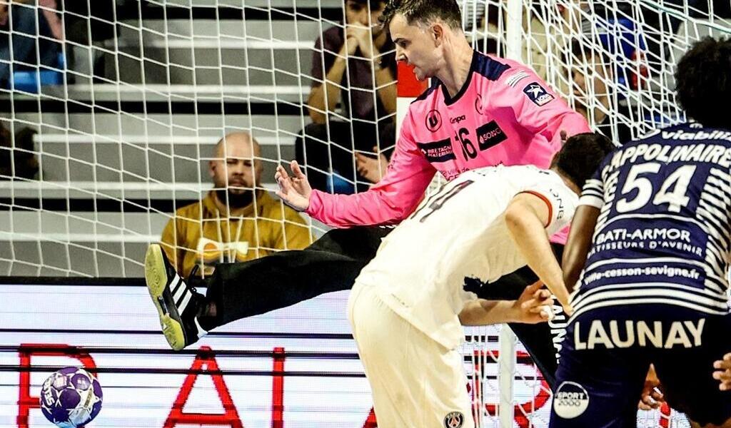 Handball. Contre Paris, Cesson Rennes a presque retrouvé toutes ses options . Sport