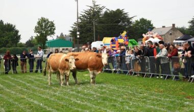 «C’est festif» : dans cette commune d’Ille-et-Vilaine, on va jouer au loto avec des bouses de