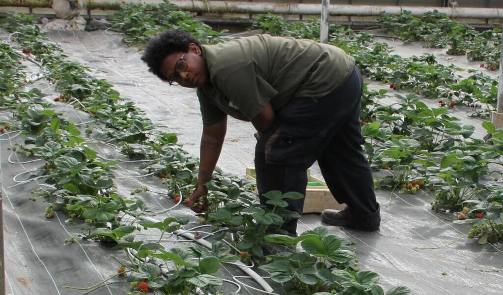 Vertou. Un marché de printemps à l’Esat Bauche-Malo