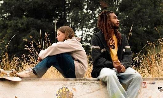 Entre film et démonstration, une journée dédiée au skateboard à Nantes . Sport