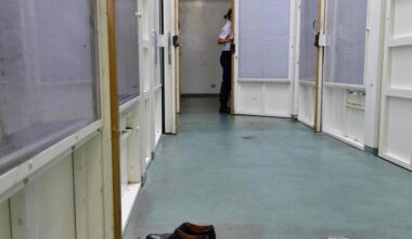 Il s’en prend à sa grand-tante de 91 ans puis à des policiers près de Nantes