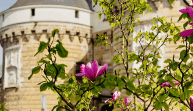 Que faire a Nantes ce week-end du 17 au 20 avril 2025 ©mili.photography