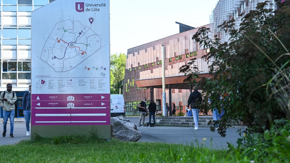 « L’un de nos objectifs est aussi d’aider les étudiants les plus fragiles » : à l’université de Lille, on aide les décrocheurs à se réorienter