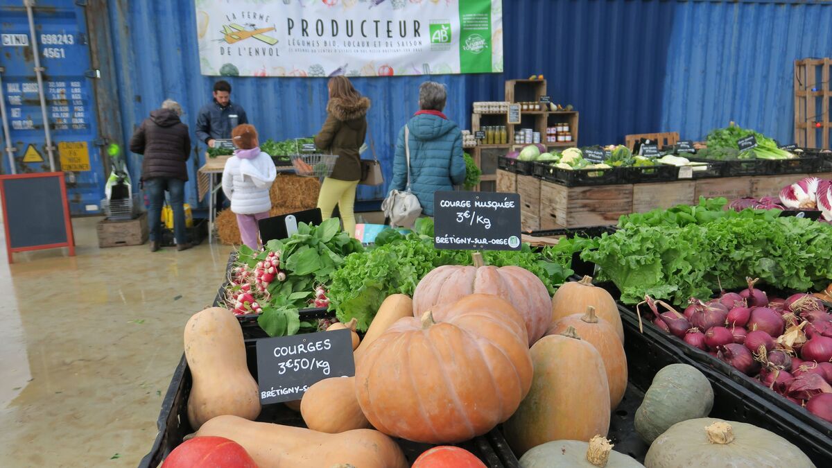 Crise de l’agriculture bio : des signes de reprise en Île-de-France