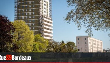 Avec la rénovation de la Cité Blanche, la Benauge continue à reprendre des couleurs
