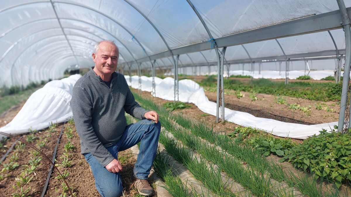 Jacques, pionnier de l'agriculture bio en Île-de-France : « Il y a 50 ans, on nous prenait pour des rigolos » - Le Parisien