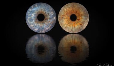 avec ses photos d'iris, il propose des clichés éblouissants