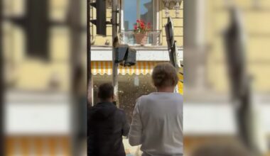 Nice. Une "invasion" d'abeilles met la pagaille dans la rue, un professionnel intervient