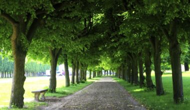 Cette randonnée vous offre du répit tout près de Paris, une balade en forêt idéale pour s'oxygéner