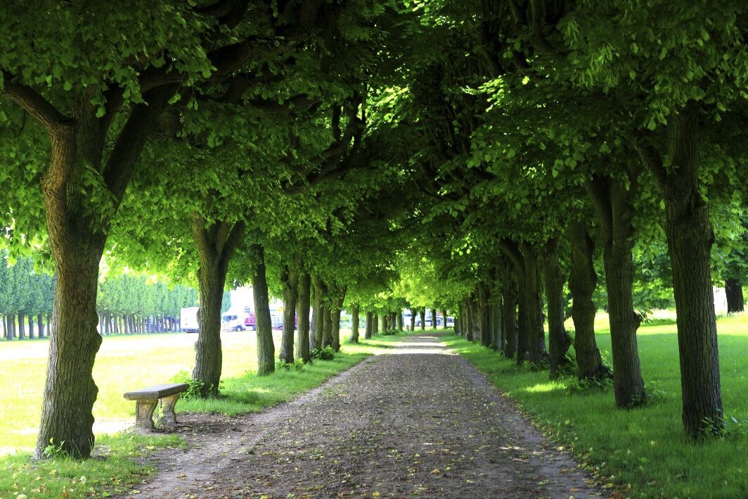 Cette randonnée vous offre du répit tout près de Paris, une balade en forêt idéale pour s'oxygéner