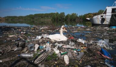 L’Europe s’accorde pour durcir sa loi afin de lutter contre la pollution aux microplastiques