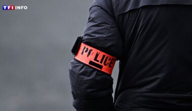 Contrôles et amendes à répétition à Paris : les "indésirables" ciblés par des pratiques policières d'"éviction"