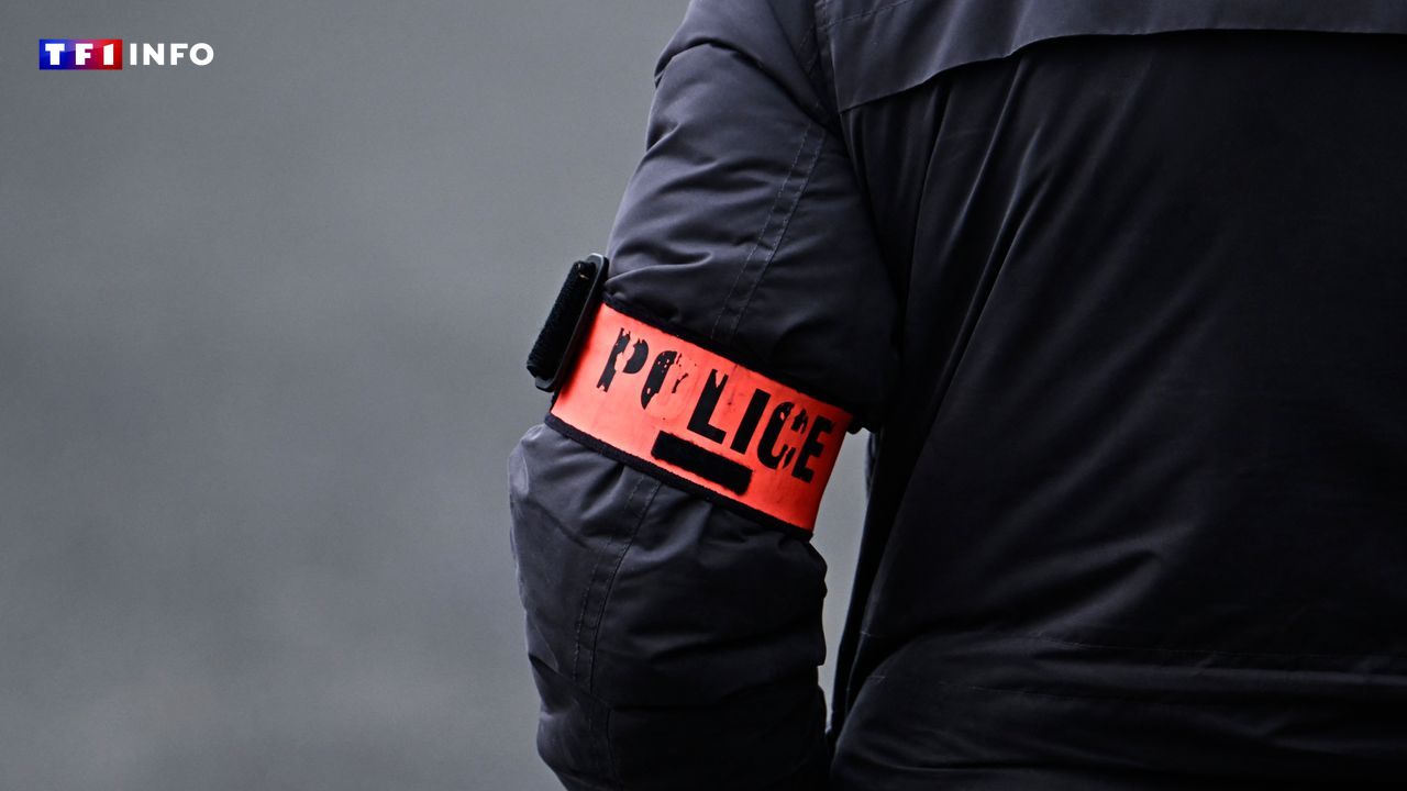 Contrôles et amendes à répétition à Paris : les "indésirables" ciblés par des pratiques policières d'"éviction"