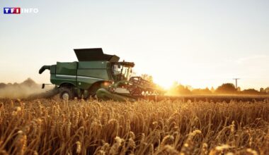 Jour du dépassement : la France vit déjà à crédit sur les ressources de la Terre
