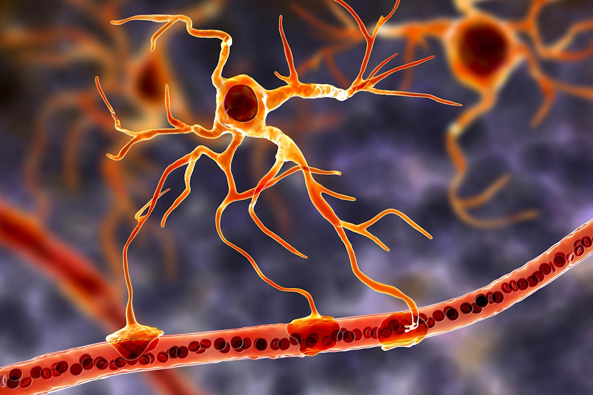 Une cause probable de la maladie de Charcot identifiée par des chercheurs français