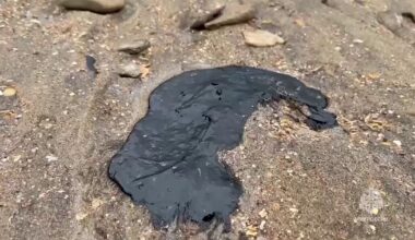 la marée noire pollue les plages et perturbe la saison touristique en mer Noire