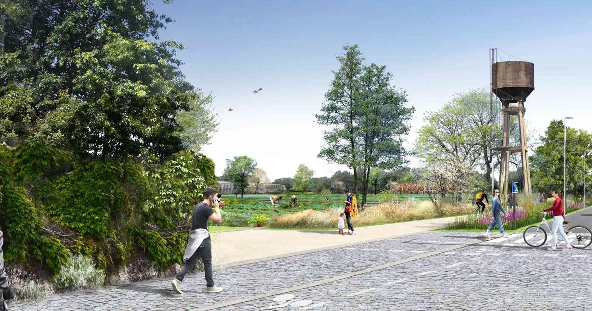 un collectif dénonce «l’écologie de vitrine» d’un ambitieux projet d’écoquartier